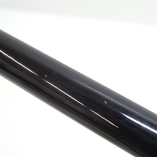 普天元 大我十三